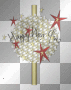 NEW YEAR,NEWYEAR/TFM448,