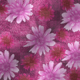 Animated Background~Newfiebeauty Animated Background~Newfiebeauty