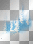 Winter trees