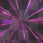 SYLWEK YEAR 2010 BACKGROUND 