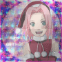 Santa Sakura