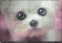 Puppy Dog Eyes