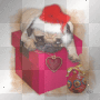 perrito lindo por navidad