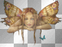 fairy fairy