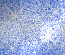 blue glitter