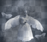 angel by lucy