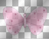 pink butterfly