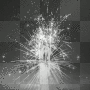 SYLWEK  YEAR 2010 BACKGROUND 