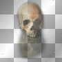 mejserr skull reflection