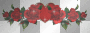 Heart with roses 