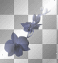 fleur