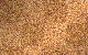 glitter