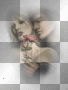 fantasy couple fantasy couple