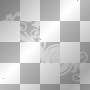 Fancy White&White Border Fancy White&White Border