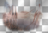 TRANSPARENT LANDSCAPE DECO BACKGROUND SPRING
