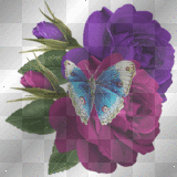 roses with butterfly