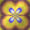 Color Loop Animated Color Loop Animated