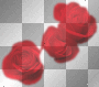 Θ3 Red RosesΘ Θ3 Red RosesΘ