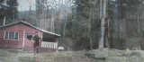 jacob black  NEW GIF ©dK