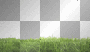 grass