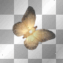 Butterfly -BT