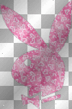 playboy