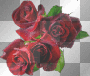 ☺roses:)