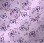 butterfly bg