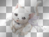 Cute Anime Cat