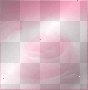 Animated Pink Background