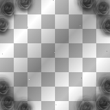 Roses frame