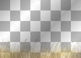 Transparent Wheat background