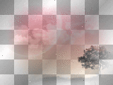Pink Background 