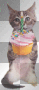 ♪Happy Birthday♫