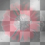 amon / transparent abstract background