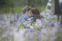 Belal e Edward Meadow KisS Eclipse New Stll!!<3<3
