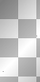 Lustiges Frettchen