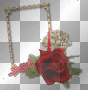 frame with roses
