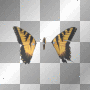 "Brand new eyes" butterfly!