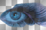 Blue eye