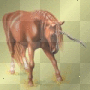 einhorn pferd  howrse