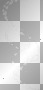 White stars 