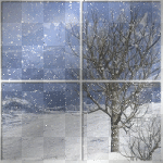 Winter (by ShadowCutie)