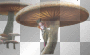Mad Hatter w/ his Shrooms ~ Alice in Wonderland Mad Hatter w/ his Shrooms ~ Alice in Wonderland