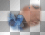 WOMAN FACES BLUE FLOWERS TRANSPARENT