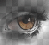 l'oeil qui nous rend vivant