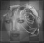 visage 
