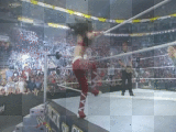 wwe michelle mccool diva