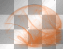 Orangy