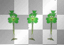 St patrick